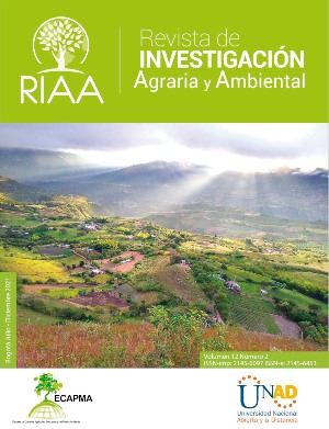 portada riaa 12 n2